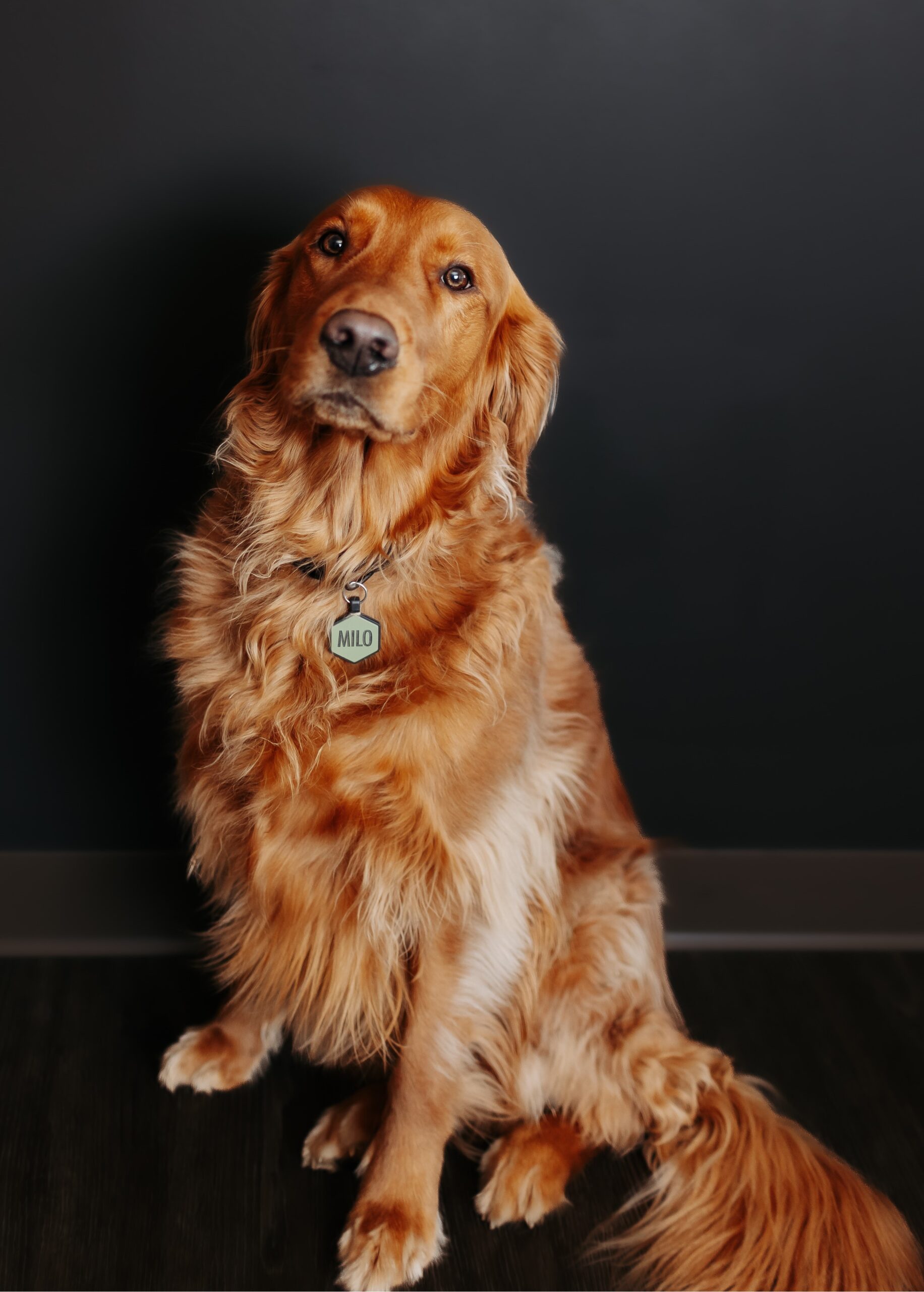 Milo